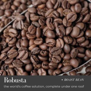 Roast Bean Robusta Gayo Grade 1 Original Coffee Gayo