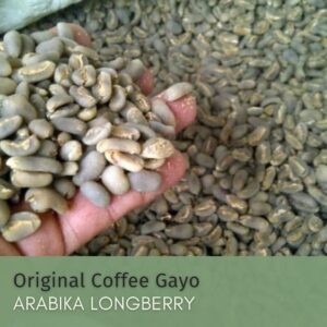 Green Bean Arabika Longberry Original Coffee Gayo